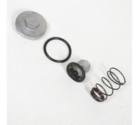 Tapón de nivel de aceite P2R para Scooter Peugeot 50 Kisbee 4T Avant 2020
