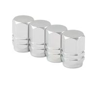 Tapones de válvula Schrader para Fiat Punto para Seat Leon FR Ibiza Altea Exeo Válvulas Neumáticos Ruedas Coche Tapones Aire Vástago Neumático(Silver)