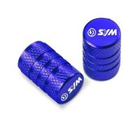 Tapones de válvulas de Moto para SYM MAXSYM 600i TL500 TL 500 DRG158 FNX150 Accesorios Tapas De Aluminio CNC para Válvula De Neumático De Motocicleta (2 Unidades)(WW-2)