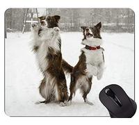 Tappetino per Mouse Australian Shepherd Puppy Mouse Pad, tappetino per Mouse Collie...