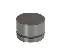 Taqué de válvula INA 420 0042 10