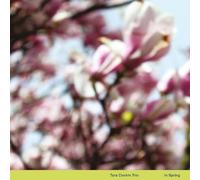 Tara Clerkin Trio - In Spring [Vinilo]