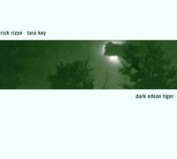Tara Key - Dark Edson Tiger