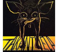 Tarantuela - Good Luck-Black Cat-Bad Luck