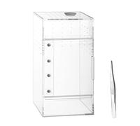 Tarantula Enclosure | Breathable Acrylic Escape-Proof Habitat