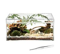 Tarantula Enclosure,Escape-Proof Transparent Breathable - Jumping Spider Tank Lizard Cage,for Observation Feeding Breeding Climbing Tarantula Mantis Frog