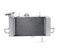 TARAZON Radiador de refrigeración por agua para Yamaha YZF-R125 YZF R 125 12-16 A ABS 15-20 MT-125 A 20-21