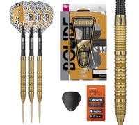 Target Darts Bolide Envy 01 90% Tungsteno Swiss Point Punta de Acero Dardo Set, 25G | Pro Ultra N.º 6 Vuelos y Pro Grip EVO Ejes, Oro Suizos Puntos y SP Tool Incluido | Profesionales Dardos Sets