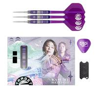 Target Japan Endeavour G3 Punta de Acero Dardos con Kflex, 24G | 90% Tungsteno Dardo Set, K-Flex Vuelos y Ejes N.º 2, Storm Nano Swiss Punto, Point Guard, Lata de Almacenamiento, Kasumi Sato Gen 3