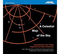 Tarik O'regan: A Celestial Map of the Sky