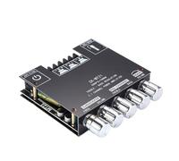 Tarjeta amplificadora de audio inalámbrica | Tarjeta amplificadora de 2.1 canales, subwoofer de 100 W con receptor inalámbrico para eventos al aire libre, estudio en casa, teatro y uso doméstico