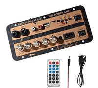 Tarjeta de amplificador de potencia para automóviles, tarjeta de amplificador de potencia de audio automotriz | Módulo AMP del receptor de audio estéreo digital de 12V y 24V | Tarjeta de altavoz