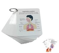 Tarjeta de anatomía del sistema del cuerpo humano, tarjeta de aprendizaje portátil para estudiantes, 1 juego de guía de aprendizaje médico y de enfermería con anillos, regalo para estudiantes