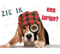 Tarjeta de cumpleaños A5 - Tarjeta de felicitación - Zie Ik EEN Jarige? - Incluye sobre - Flamingo