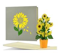 Tarjeta de cumpleaños con girasoles para mujeres, alegre tarjeta de felicitación emergente, cupón para cumpleaños, día de la madre, F21