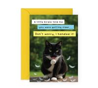 Tarjeta de cumpleaños de gato descarado, con texto en inglés "A Little Birdie Told Me, Don't Worry, I Handled It!", diseño humorístico para amantes de los gatos, amigos, él, ella, hermano, hermana
