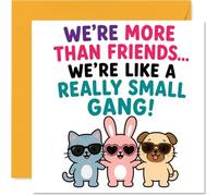 Tarjeta de cumpleaños juguetona - Energía de banda pequeña - Gato de dibujos animados, conejo y perro con gafas de sol - Un grito descarado a tu pareja favorita en el crimen - cuadrado de 145 mm