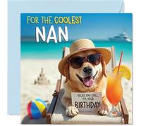 Tarjeta de cumpleaños para abuela - Chill Beach Dog - Tarjeta de feliz cumpleaños para abuela de nieto nieta, 145 mm Chill Beach Dog Bday tarjetas de felicitación