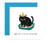 Tarjeta de cumpleaños para amantes de los gatos, con texto en inglés "Litter Tray" Grumpy Black Cat - Tarjeta humorística para amigos, colegas, vecinos, hermano, hermana, tía, tío, mamá, papá, él