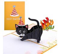 Tarjeta de cumpleaños, Pop Up 3D Katz, tarjeta de felicitación, tarjeta de amistad, tarjeta de regalo, tarjeta sorpresa de aliento con gato negro para una buena recuperación, gracias aniversario