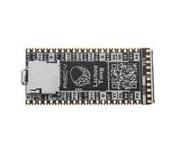 Tarjeta de desarrollo RISC-V con descargador FPGA SDRAM Lichee Tang 64Mbit doble memoria Flash