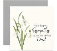Tarjeta de duelo simpático por la pérdida de papá, regalo con texto en inglés "With Deepest Sympathy", elegante diseño de pintura floral, para amigos o familiares, interior en blanco con sobre