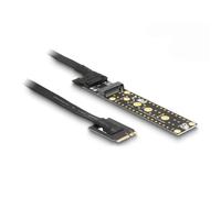 Tarjeta de expansión Delock NVMe M.2 Clave E a Clave M con cable 20 cm