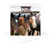 Tarjeta de felicitación 3dRose Taos, New México, EE. UU., caballos en una pequeña ciudad occidental Rodeo, 6 x 6" (gc_251231_5)