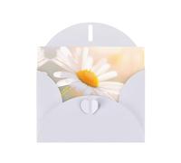 Tarjeta de felicitación con diseño de margaritas blancas de 6 x 4 pulgadas con sobre, para cumpleaños, bodas y otras ocasiones