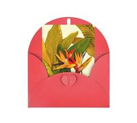 Tarjeta de felicitación con estampado de pájaro tropical del paraíso para el día de la madre, 10 x 15 cm, papel perlado con sobre, para cumpleaños