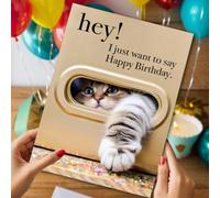 Tarjeta de felicitación de cumpleaños con diseño de gato encantador, Hey! I Just Want to Say Happy Birthday, diseño de animales de dibujos animados con sobre, para todas las edades, uso festivo