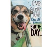 Tarjeta de felicitación de cumpleaños con diseño de perro en coche con su cara colgando por la ventana, vive cada día como si fuera tu cumpleaños. Relájate. Diviértete. Disfruta del viaje.