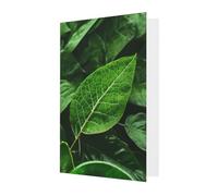 Tarjeta de felicitación Green Leaf Nature, 4 x 6 pulgadas, embalaje de sobre en forma de corazón, adecuado para todas las ocasiones.