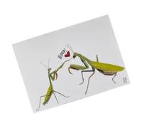 Tarjeta del día de San Valentín: tarjeta de papel con tema animal, diseño lindo y sincero, él, ella, esposo, esposa, prometido, boda, propuesta, reconciliación o disculpa, San Valentín reflexivo