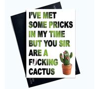 Tarjeta divertida de cumpleaños divertida tarjeta de humor, tarjetas de humor, tarjetas groseras, cactus colega cooperador tarjeta de cumpleaños banter broma con algunos pinchazos PC607