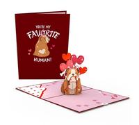 Tarjeta emergente de Lovepop Everyday para ella His Girls Boys - Tarjetas de felicitacin 3D Love - Humano favorito - 5 """" x 7 """" - Tarjeta de no