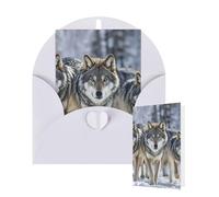 Tarjeta en blanco de 10 x 15 cm, tarjeta de feliz cumpleaños con sobres, paquete de tarjetas de felicitación de lobos para todas las ocasiones, tarjetas pensando en ti, tarjetas para invitaciones de