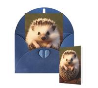 Tarjeta en blanco de 10 x 15 cm, tarjeta de feliz cumpleaños con sobres, tarjetas de felicitación de erizo para todas las ocasiones pensando en ti, tarjetas para invitaciones de negocios de boda