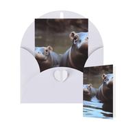 Tarjeta en blanco de 10 x 15 cm, tarjeta de feliz cumpleaños con sobres, tarjetas de felicitación de hipopótamos para todas las ocasiones pensando en ti, tarjetas para invitaciones de negocios de boda