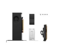 Tarjeta Gráfica Lenovo RTX PRO 2000 Blackwell 16GB GDDR7 PCIe 5.0