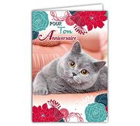 Tarjeta para cumpleaños de gato gris suave, flores azules rojas y rosas fabricadas en Francia