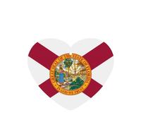 Tarjetas ambientadoras para coche, diseño de bandera de Florida, 6 piezas, cartulina perfumada, decoración para coches, dormitorios, armarios