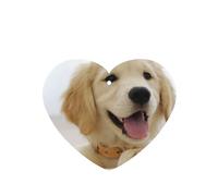 Tarjetas ambientadoras para coche, tabletas de aromaterapia para coche, tarjetas perfumadas para colgar en el hogarUn perro perdiguero de oro