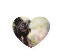 Tarjetas ambientadoras para coche, tabletas de aromaterapia para coche, tarjetas perfumadas para colgar en el hogarAffenpinscher Césped Perros Negros Monkey Terrier