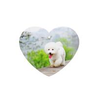 Tarjetas ambientadoras para coche, tabletas de aromaterapia para coche, tarjetas perfumadas para colgar en el hogarParque Bichón Frisé Mascotas Perros Perros Bichón Frisé