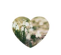 Tarjetas ambientadoras para coche, tabletas de aromaterapia para coche, tarjetas perfumadas para colgar en el hogarCampanilla de primavera salvaje
