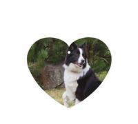 Tarjetas ambientadoras para coche, tabletas de aromaterapia para coche, tarjetas perfumadas para colgar en el hogarBorder Collie perro malo