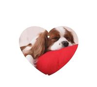 Tarjetas ambientadoras para coche, tabletas de aromaterapia para coche, tarjetas perfumadas para colgar en el hogarPatrón Cavalier King Charles Spaniel