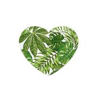 Tarjetas ambientadoras para coche, tabletas de aromaterapia para coche, tarjetas perfumadas para colgar en el hogarHojas Tropicales Follaje Palmera Exótica Selva Moda Planta Verde