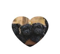 Tarjetas ambientadoras para coche, tabletas de aromaterapia para coche, tarjetas perfumadas para colgar en el hogarFamilia Affenpinscher Cachorros Perros Negros Mono